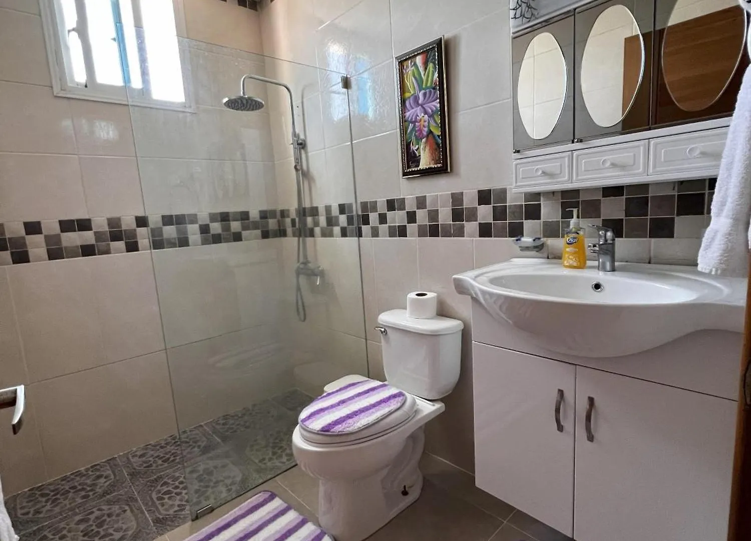 Bello Apartamento En Santiago Con Todas Las Comodidades Santiago De Los Caballeros